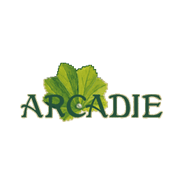 Thé vert en feuilles "fannings" Arcadie - 500 g 