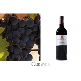 Vin rouge Fitou Cuvée des Origines - 75 cl Vin rouge Fitou Cuvée des Origines - 75 cl